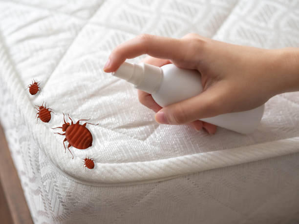 Best Pest Removal Services  in Roanoke, TX